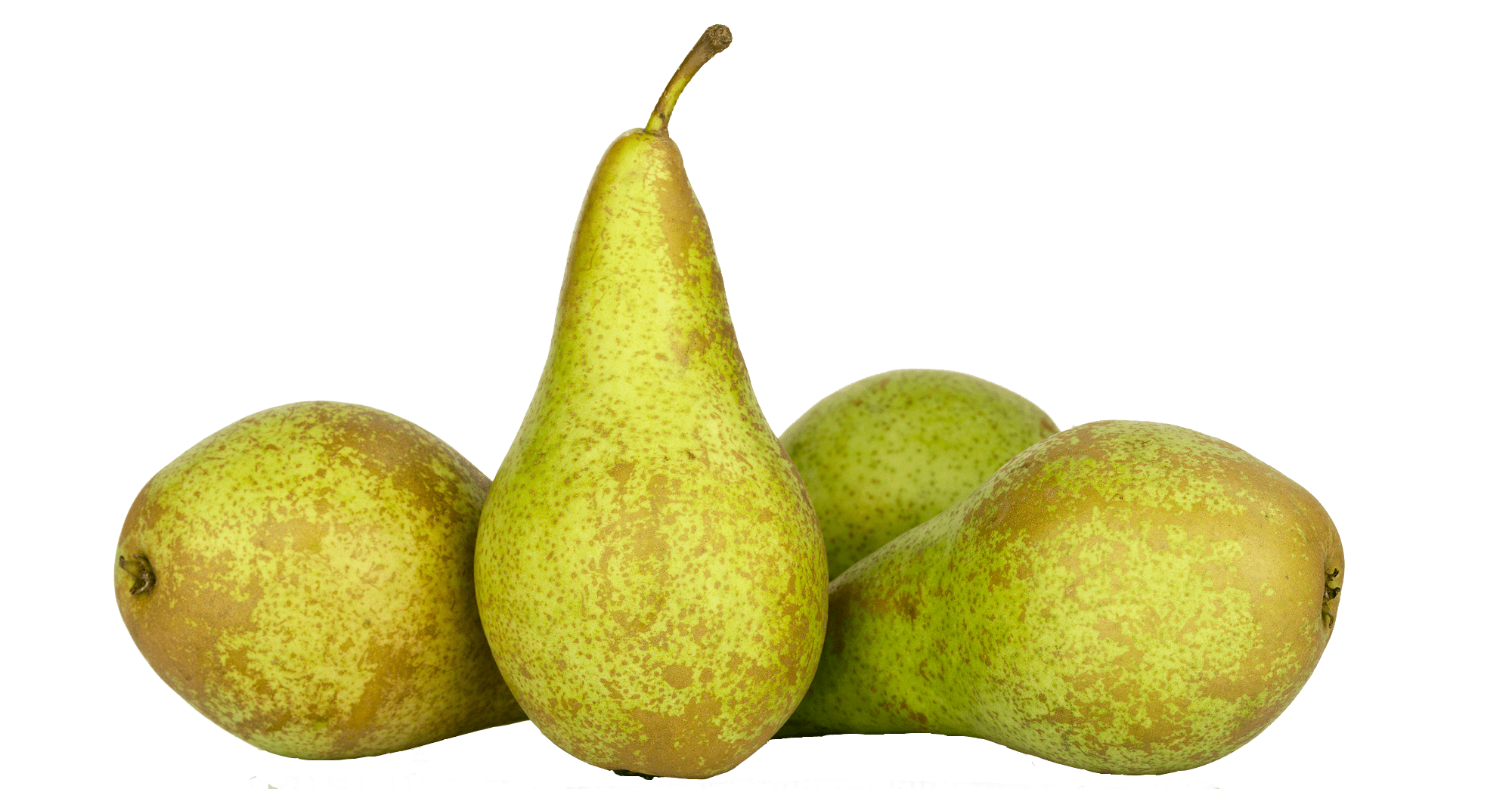 Perenboom kopen